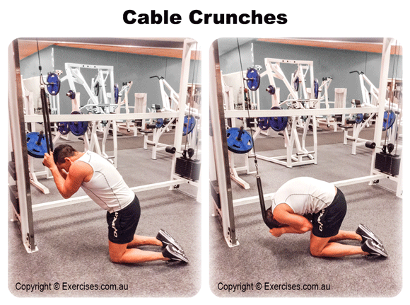 Cable Crunches Trainer Guided 1 49 Min Step by Step Video Cable Crunches Trainer Guided 1 49 Min Step by Step Video